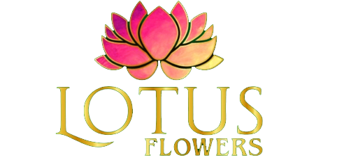 Lotus Çiçek & Organizasyon